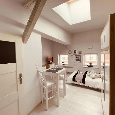 City - Lm Group شتشيتسين